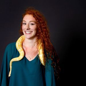 Meet your Posher, Alexa